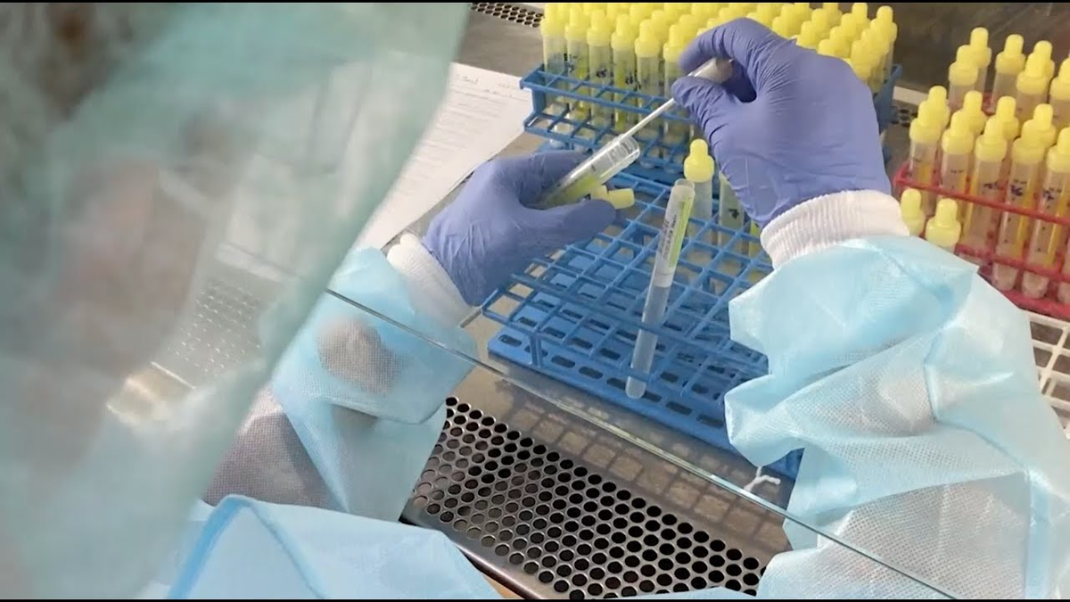 Pcr Test Bremen